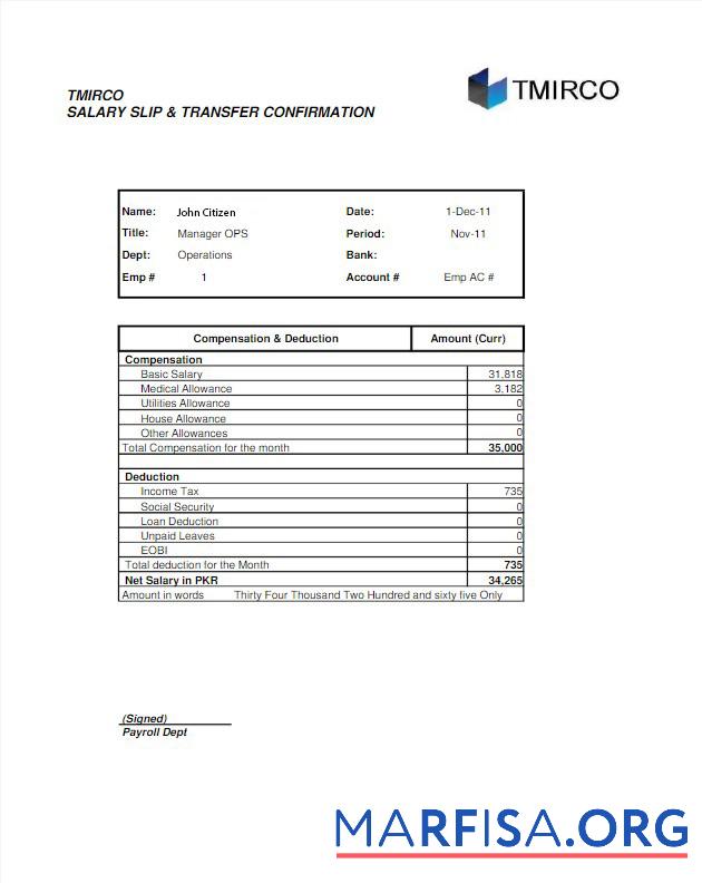 Realistic Pakistan Tmirco company earning statemetn example